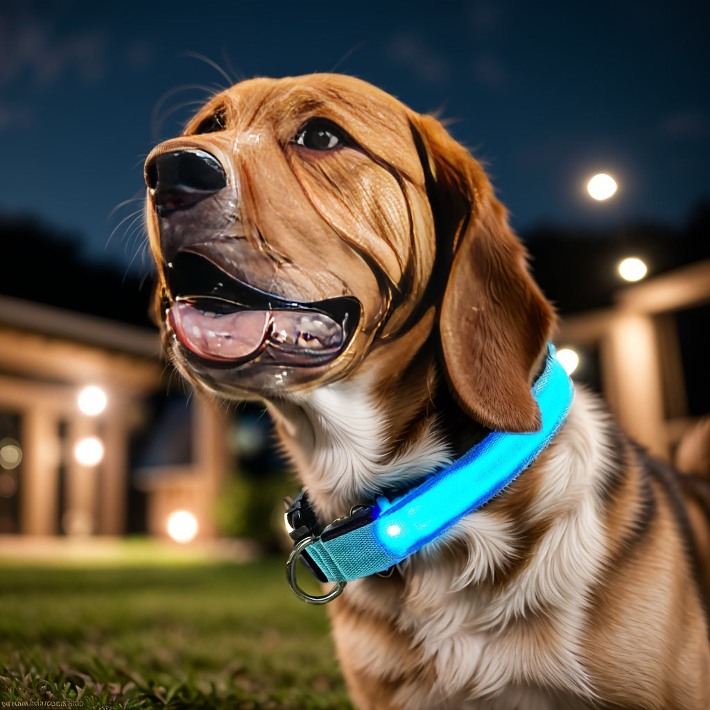 LED Glow-In-The-Dark Pet Collar For Small And Medium Dogs, Keep Your Pet Safe And Visible During Night Walks Streetsharks