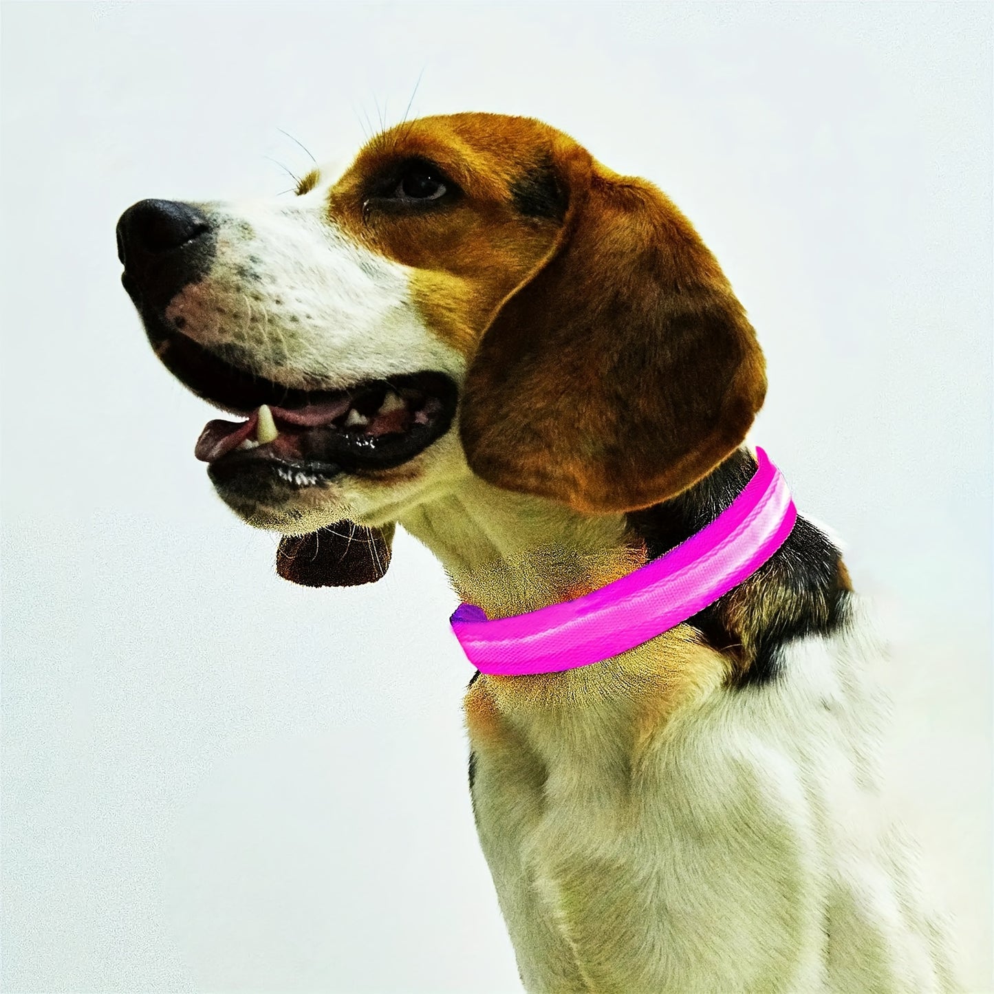 LED Glow-In-The-Dark Pet Collar For Small And Medium Dogs, Keep Your Pet Safe And Visible During Night Walks Streetsharks