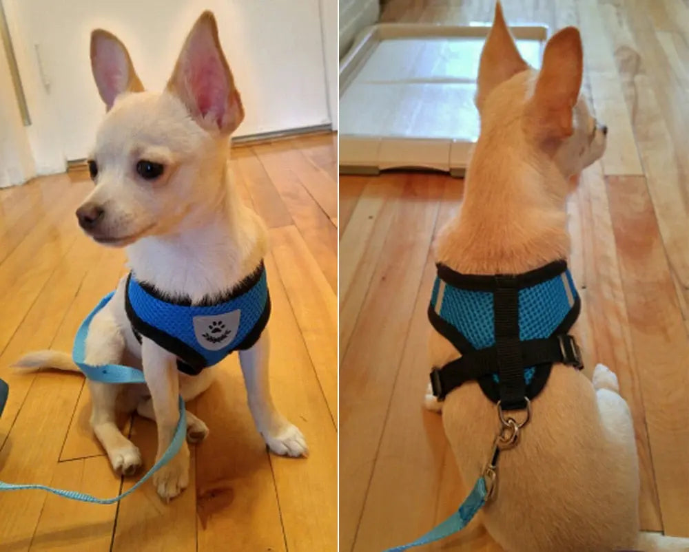 Breathable Mesh Small Dog Pet Harness Streetsharks