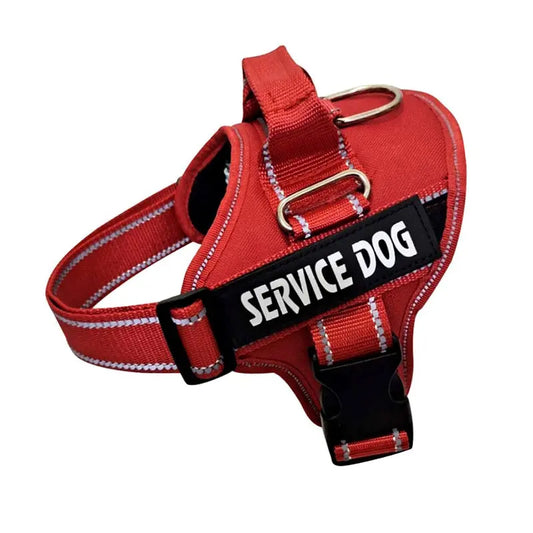 Nylon Dog Harness Personalized Reflective Pet Streetsharks