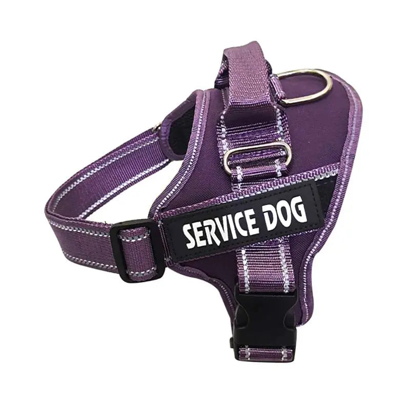 Nylon Dog Harness Personalized Reflective Pet Streetsharks