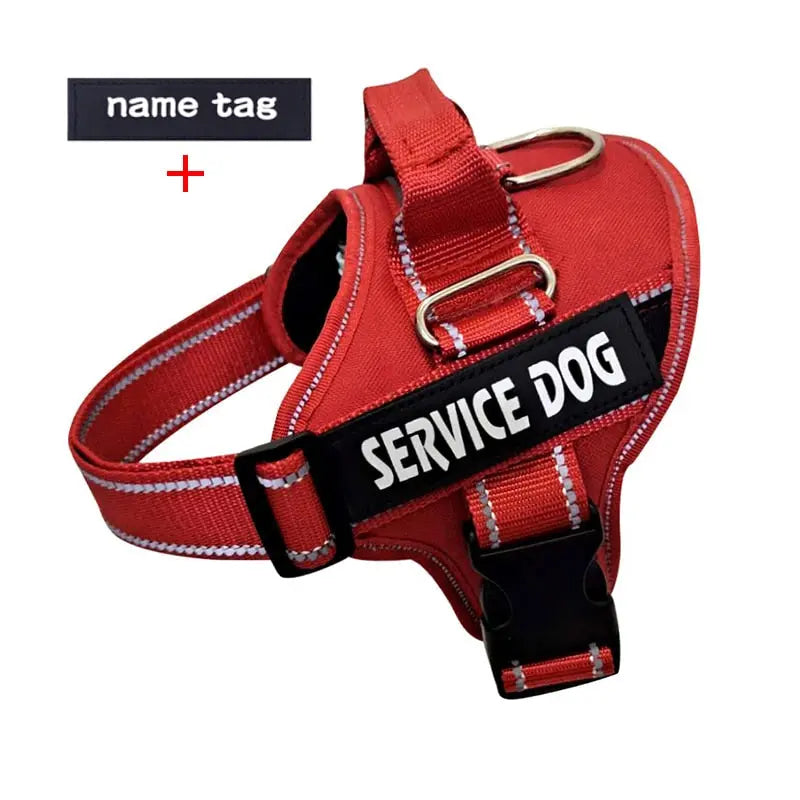 Nylon Dog Harness Personalized Reflective Pet Streetsharks