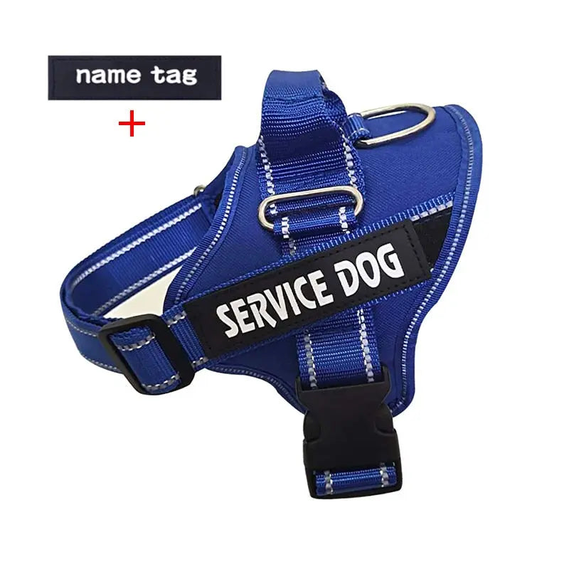 Nylon Dog Harness Personalized Reflective Pet Streetsharks