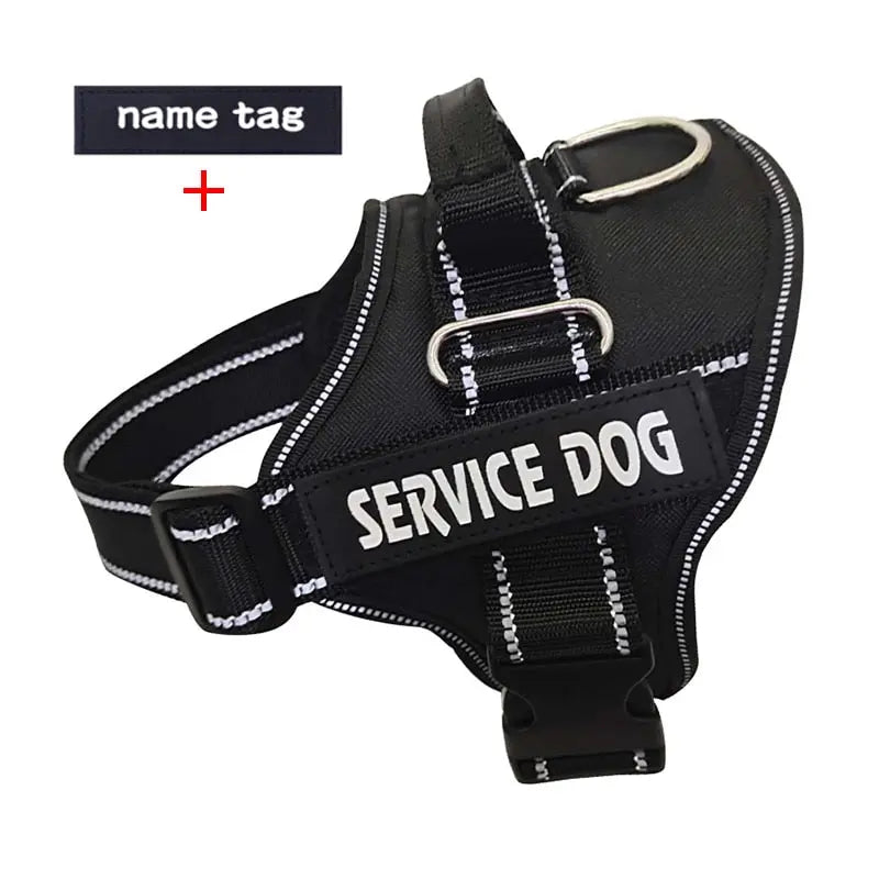 Nylon Dog Harness Personalized Reflective Pet Streetsharks