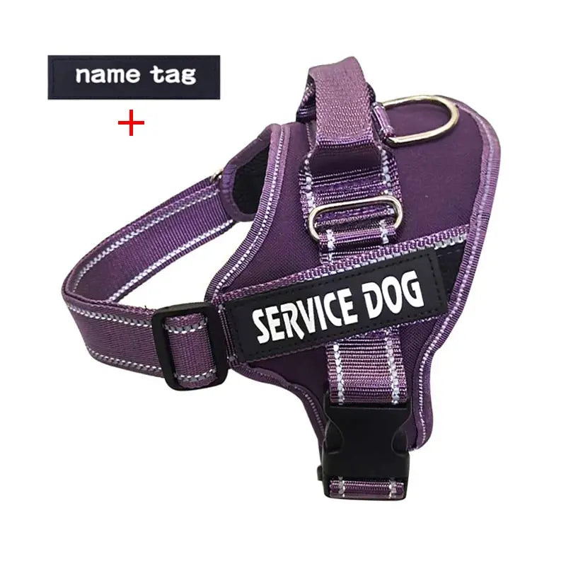 Nylon Dog Harness Personalized Reflective Pet Streetsharks