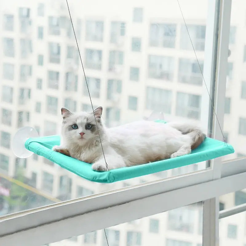 Pet Litter Sucker Hanging Cat Window Hammock StreetSharks