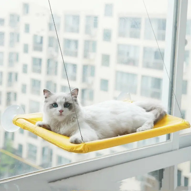 Pet Litter Sucker Hanging Cat Window Hammock StreetSharks