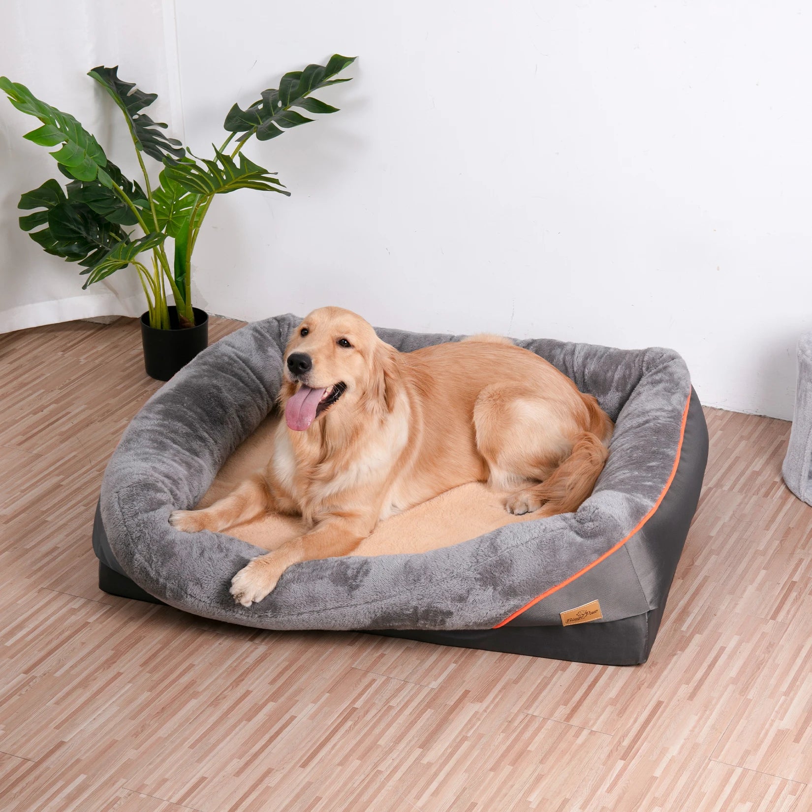 L XL 2XL 3XL Dog Bed Super Soft Orthopedic Foam Pet Bed Sleeping Mat with Cotton-padded Bolster and Removable Cover Streetsharks