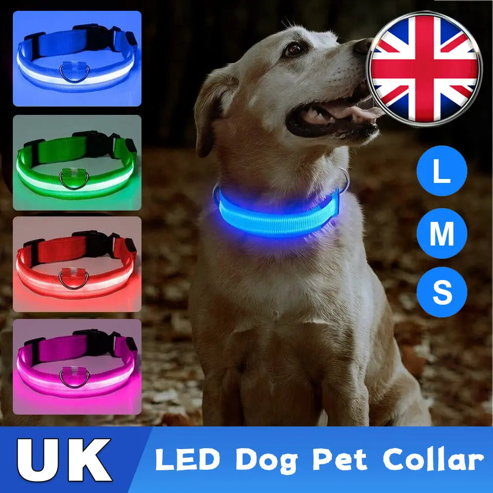 USB Rechargeable LED Pet Dog Collar Flashing Luminous Safety Light up Nylon UK - Streetsharks