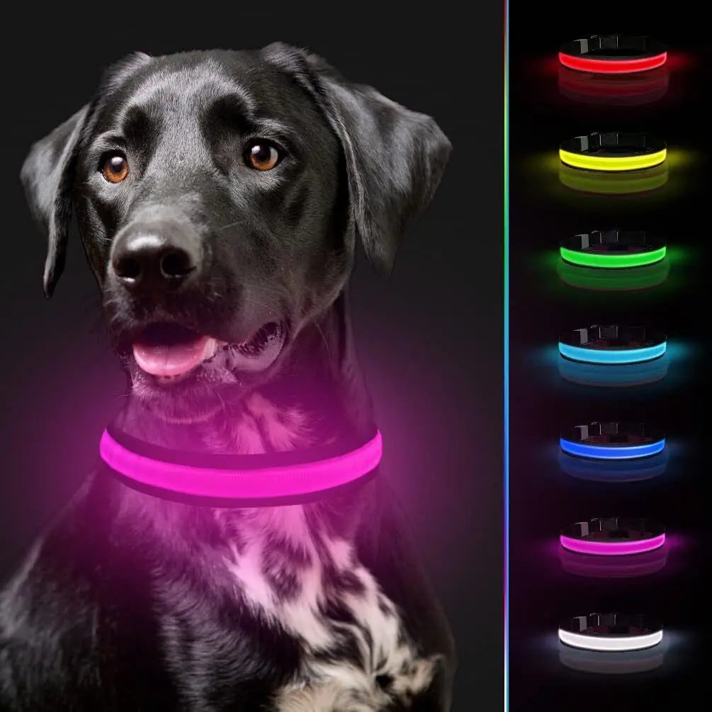 USB Rechargeable LED Pet Dog Collar Flashing Luminous Safety Light up Nylon UK - Streetsharks