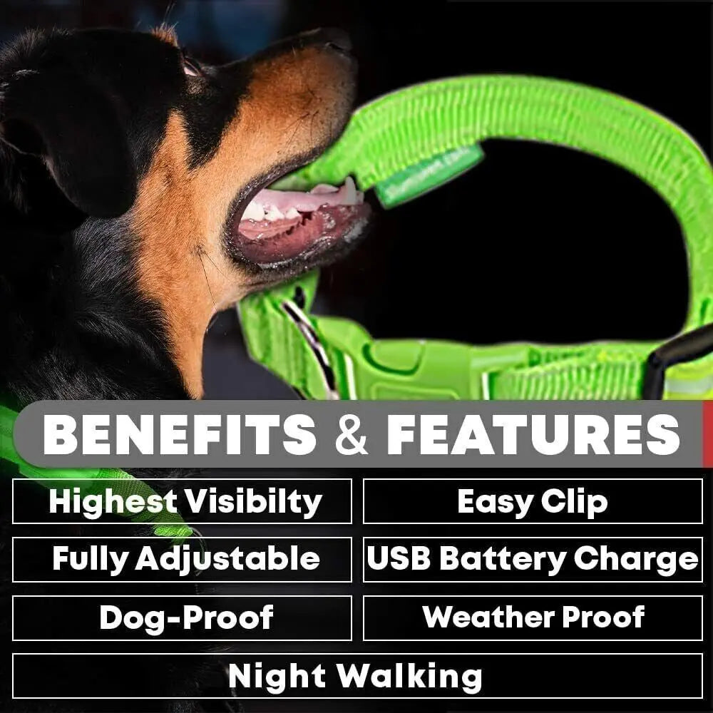 USB Rechargeable LED Pet Dog Collar Flashing Luminous Safety Light up Nylon UK - Streetsharks