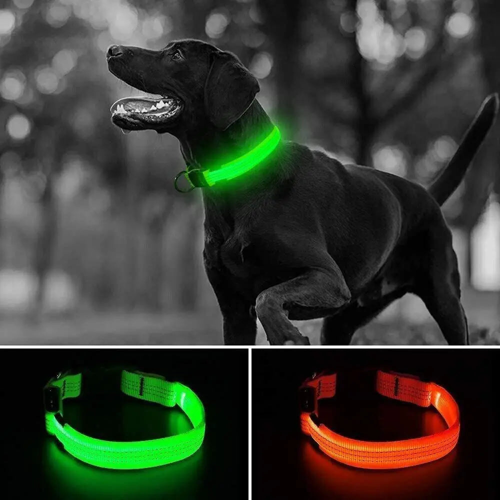 USB Rechargeable LED Pet Dog Collar Flashing Luminous Safety Light up Nylon UK - Streetsharks