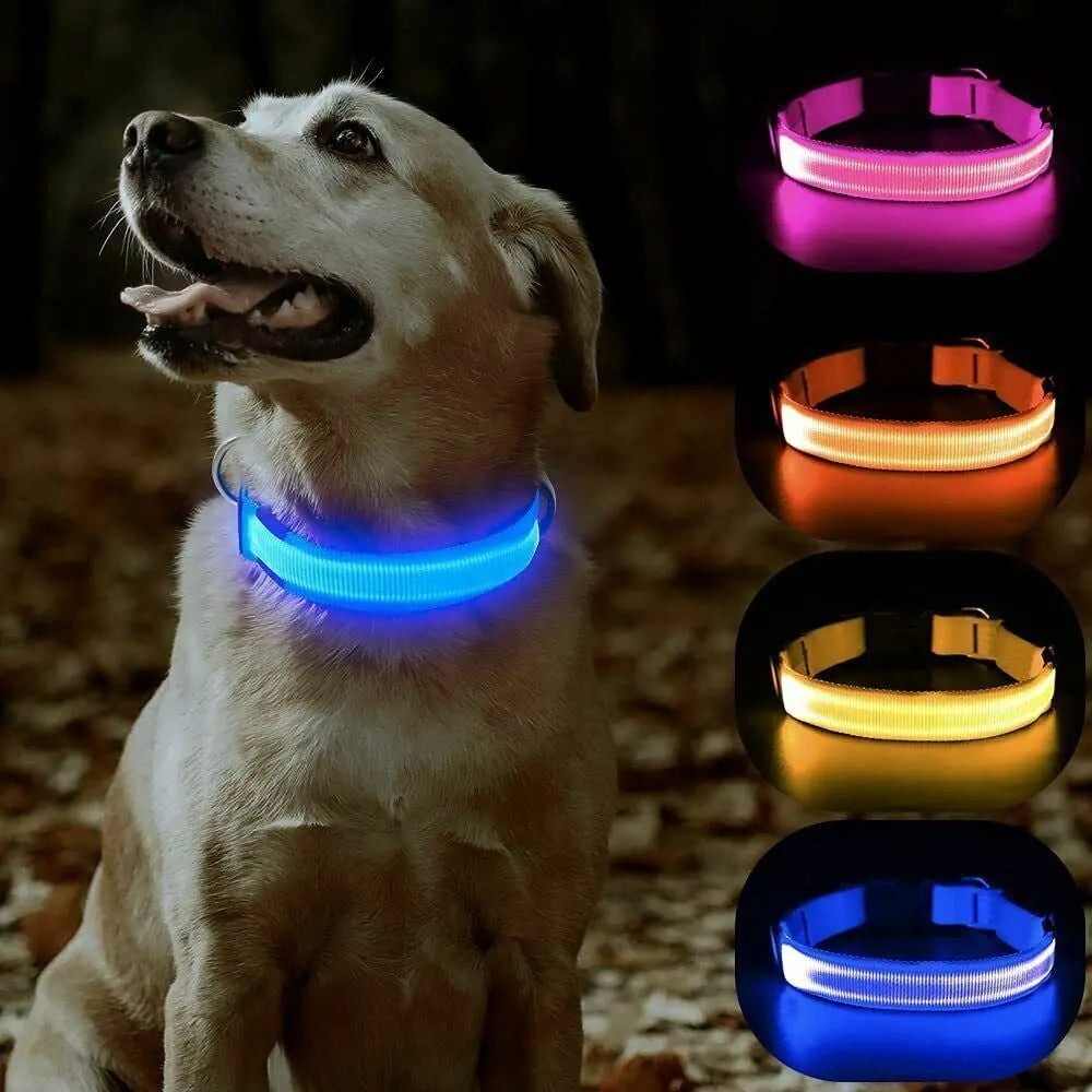 USB Rechargeable LED Pet Dog Collar Flashing Luminous Safety Light up Nylon UK - Streetsharks