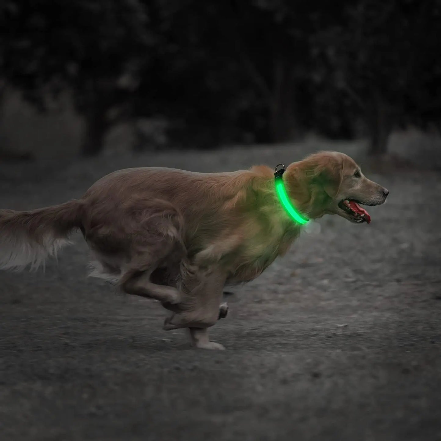 USB Rechargeable LED Pet Dog Collar Flashing Luminous Safety Light up Nylon UK - Streetsharks