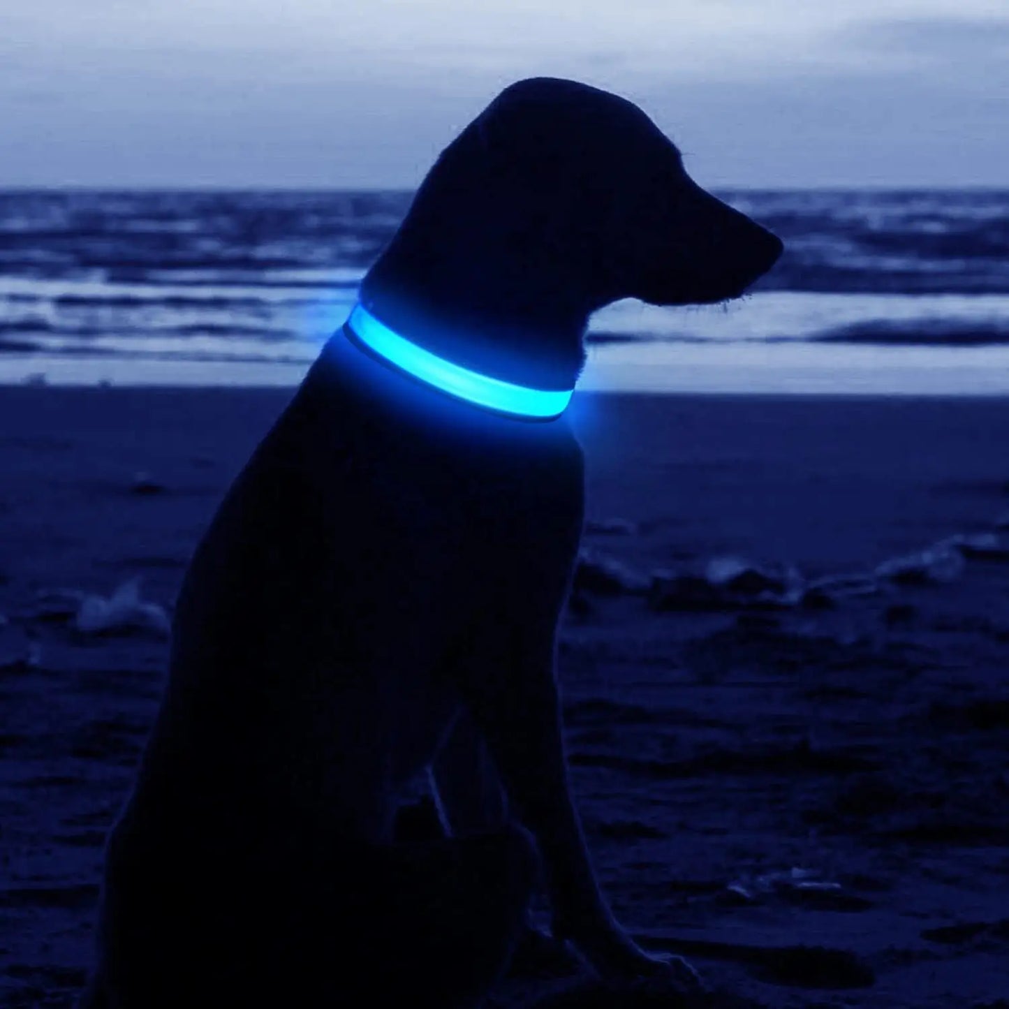 USB Rechargeable LED Pet Dog Collar Flashing Luminous Safety Light up Nylon UK - Streetsharks