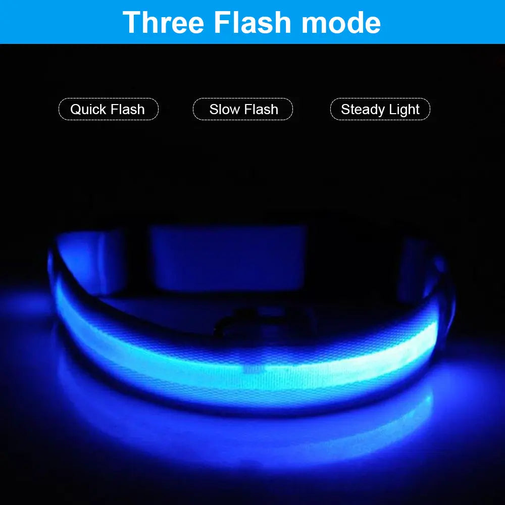 USB Rechargeable LED Pet Dog Collar Flashing Luminous Safety Light up Nylon UK - Streetsharks